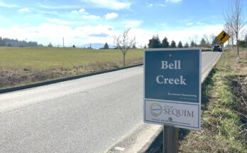 The 104-lot Bell Creek Major Subdivision and 24-lot Bella Vista Estates recently were approved by Sequim Hearing Examiner Peregrin Sorter. (Matthew Nash/Olympic Peninsula News Group)