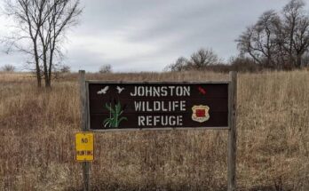 Formas de vida silvestre de Jouston utilizadas como forma de forma de refugiados