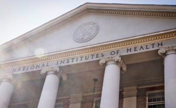 La investigación se refiere a las entidades nacionales del estudio de los planes de investigación