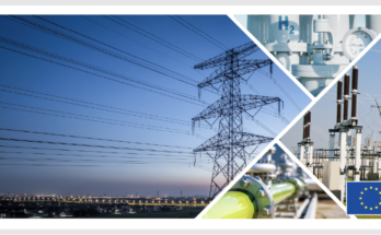 Llame a Energy lanzada para el Proyecto Induscher 600 millones de euros